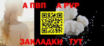 ешки Кингисепп