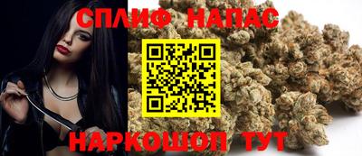 ешки Кингисепп