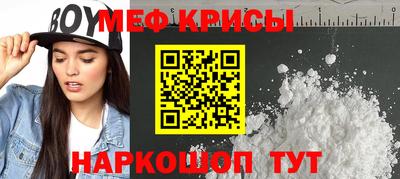 ешки Кингисепп