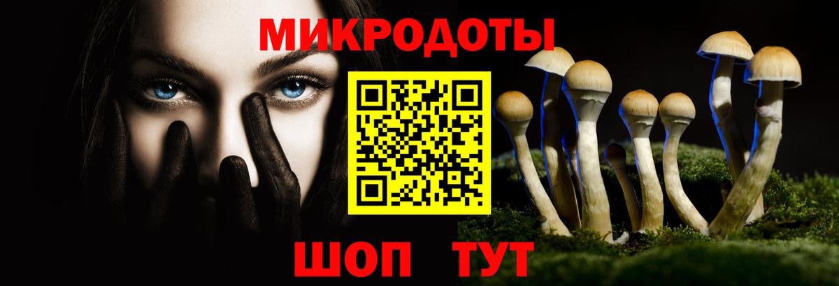 Костомукша  Галлюциногенные грибы Magic Shrooms  Вход с VPN 